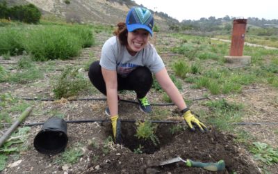 Conservancy Gears Up for Planting Season