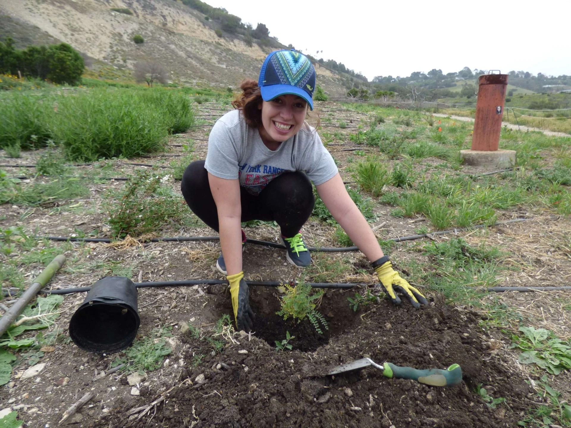 As summer’s heat fades with the arrival of cooler days (and even some rain), the Conservancy is busily preparing for planting season! During this exciting time, meticulous planning efforts and preparations literally take root in fresh plantings that will soon become new homes to native wildlife. This winter, staff and volunteers will plant 26,500 native shrubs and wildflowers, all started as seeds in our own native plant nursery. We will plant 10,000 native plants at Alta Vicente Reserve (bordering Palos Verdes Drive South in the terrace below RPV City Hall) on five additional acres and continue caring for previously restored areas in the Portuguese Bend Reserve. Beginning in January, Outdoor Volunteer Days will welcome people to join the planting effort while enjoying an ocean view and a good chance of whale sightings. Both areas increase available plants for use by rare cactus wren and threatened California gnatcatchers. With student volunteers for the Adopt-a-Plot program, the Conservancy will continue to support the recovery of endangered Palos Verdes blue butterfly. We invite individuals, families and groups to adopt a piece of land and help plant and maintain native locoweed and deerweed, the butterfly’s vitally important host plants. In San Pedro this fall, volunteers, interns, garden apprentices and docents will plant trees and native shrubs in White Point Nature Preserve’s demonstration garden. Thanks to generous support from the Harbor Community Benefit Foundation and the California Native Plant Society, we will continue to offer enriching public programs that engage the community in the beautification and care of this preserve. Support native wildlife and conserve water by planting endemic species around your home garden. Several fragrant and showy native plant species are available for sale the fourth Saturday of each month, from noon to 2 p.m. at White Point Nature Center. Naturalists and docents are always available to answer questions and provide tips on selection and planting.