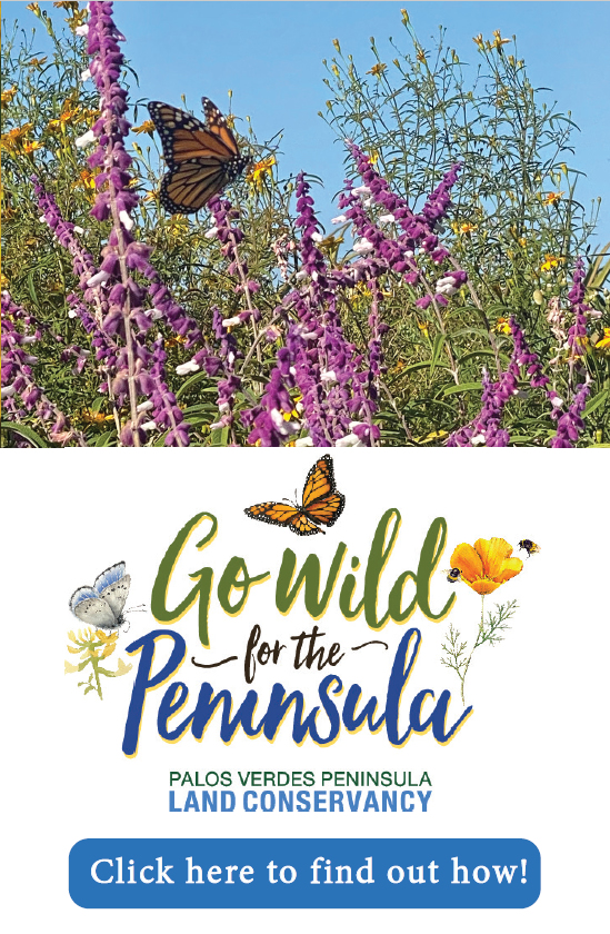 Go Wild for the Peninsula